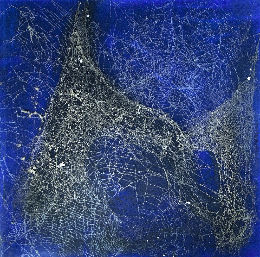 Ado ou l'Art-achnide