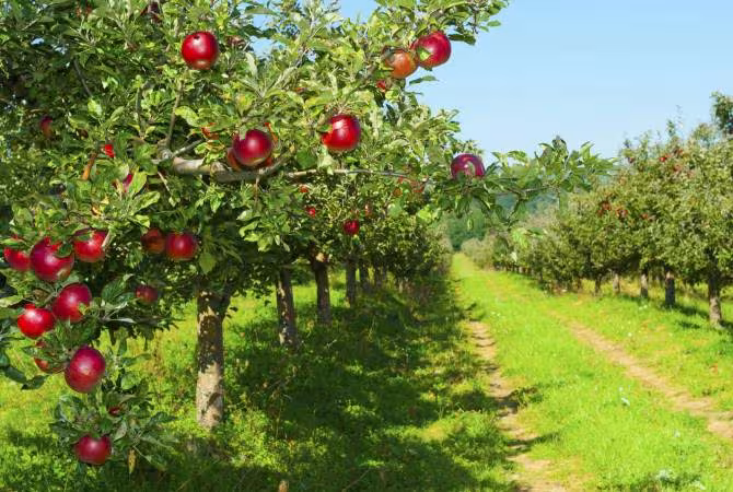 Crédit sans intérêt pour les exportateurs de produits agricoles