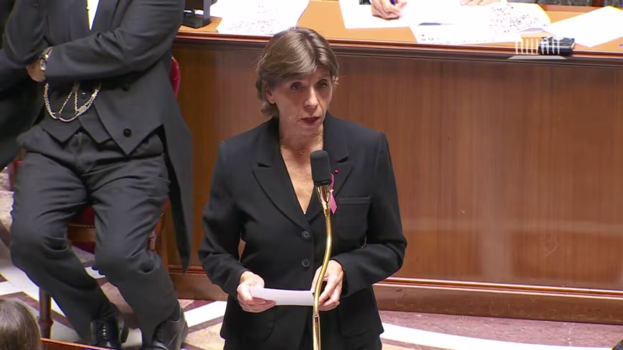 Prises de position des députés français à l'Assemblée Nationale et réponse du gouvernement : « La France est solidaire du peuple arménien »